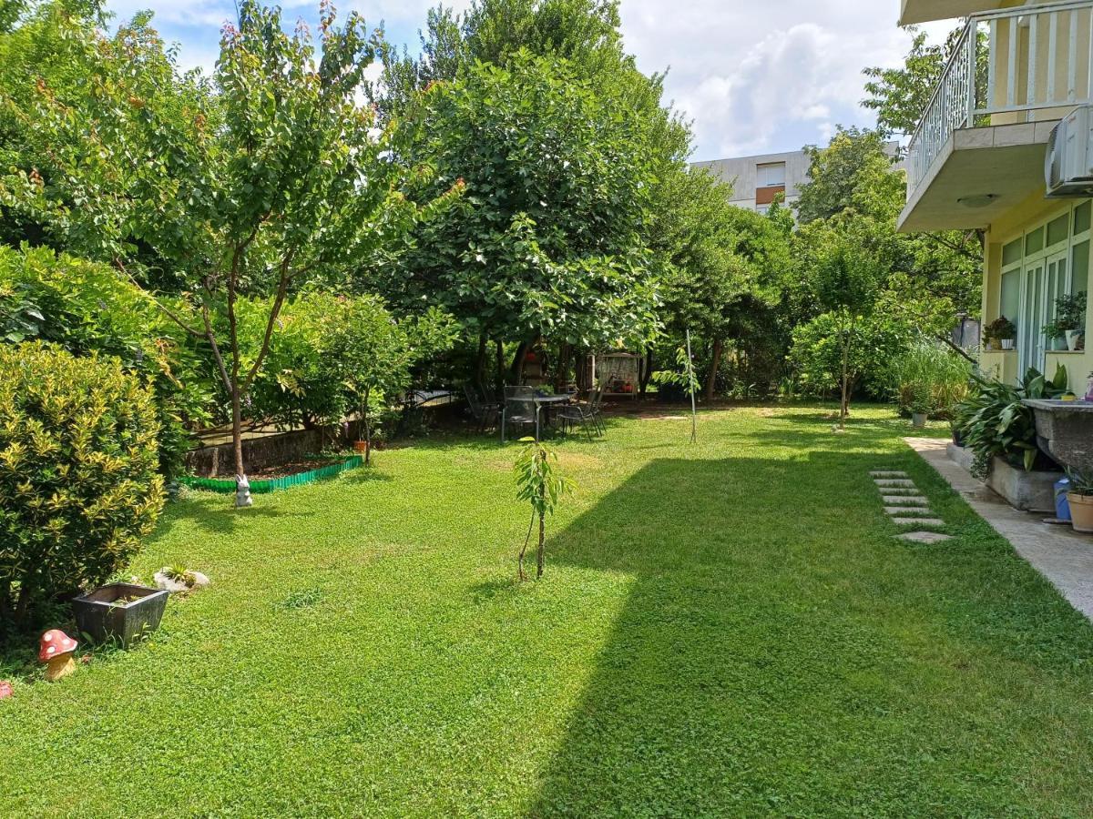 Villa Tamara With Garden And River View - Free Private Parking - Garage 莫斯塔尔 外观 照片